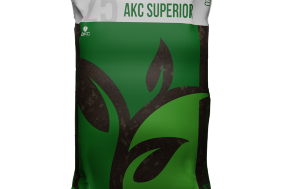 AKC Superior